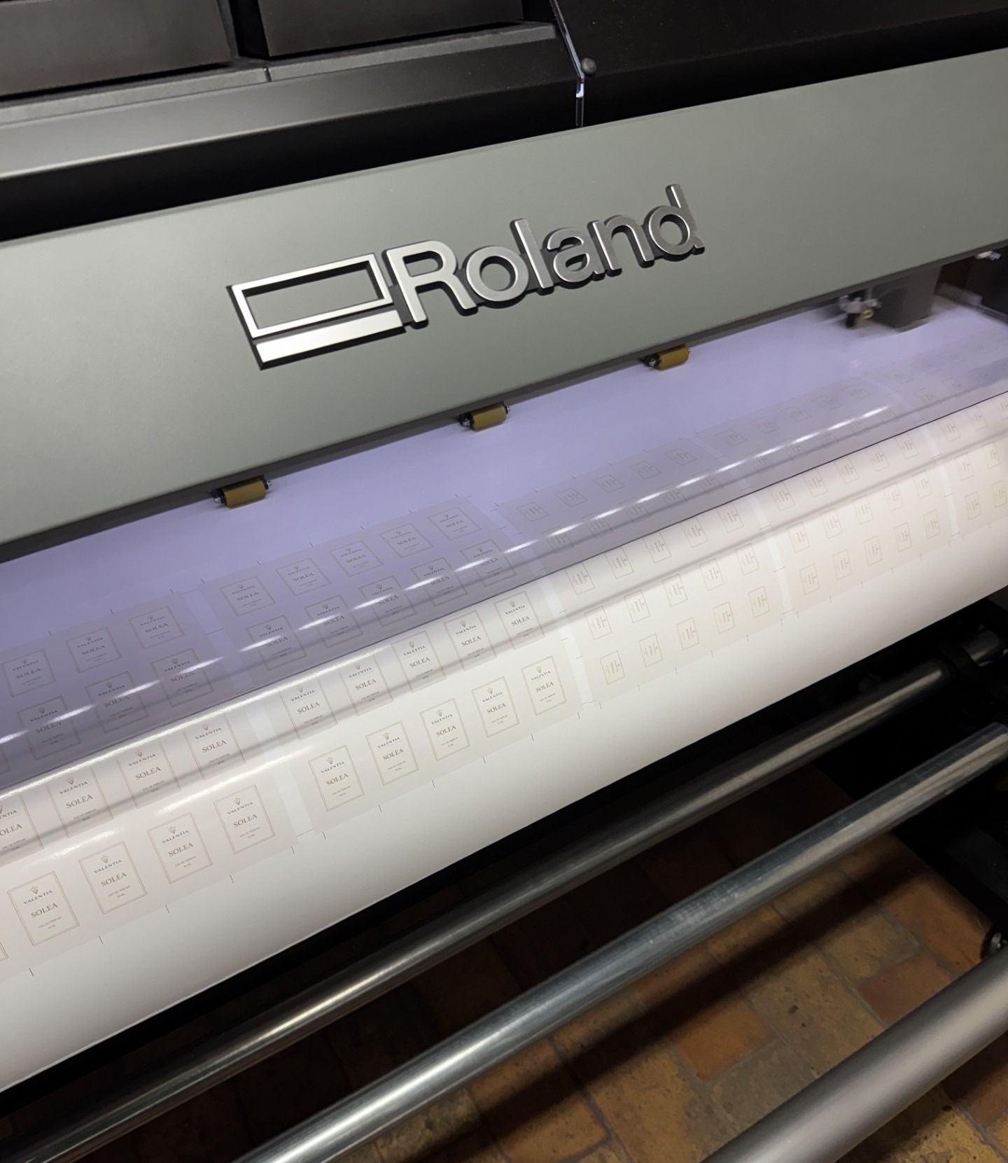 Abeille Imprim's Roland TrueVis VG3-540 printer