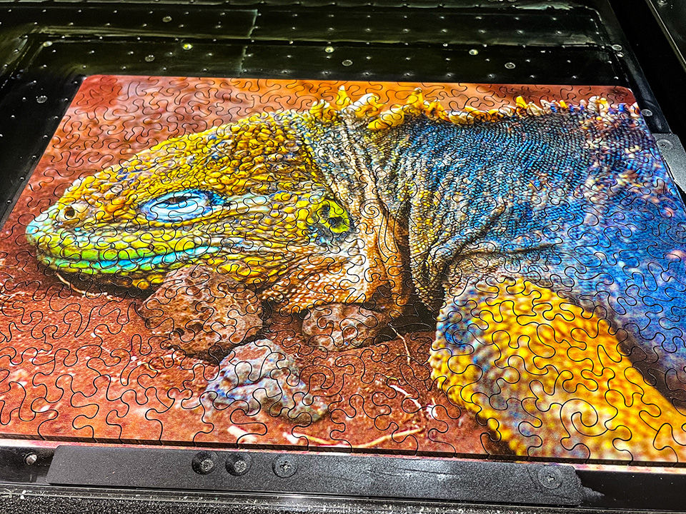 Curiosity Puzzles_Slider Image_iguana