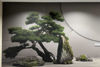 Thumbnail image showing an interior wall with printed wallpaper decoration at the Embassy of Japan in Lithuania, printed with a DIMENSE Dimensor S  - a large-format water-based printer for textured printing