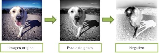 pasos.jpg