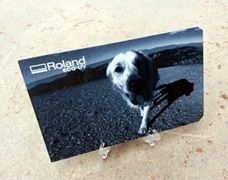 impresión en escala de grises