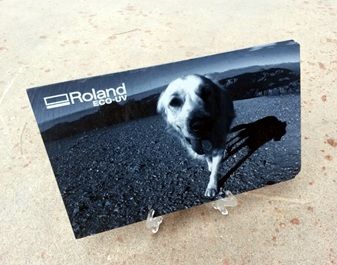 impresión en tinta blanca sobre canvas negro