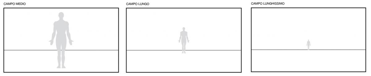 I diversi tipi di campi