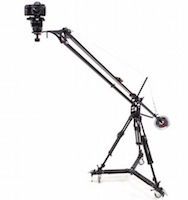 Il crane