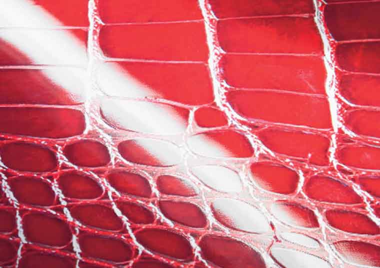 Take inspiration from nature - print snake or crocodile skin textures