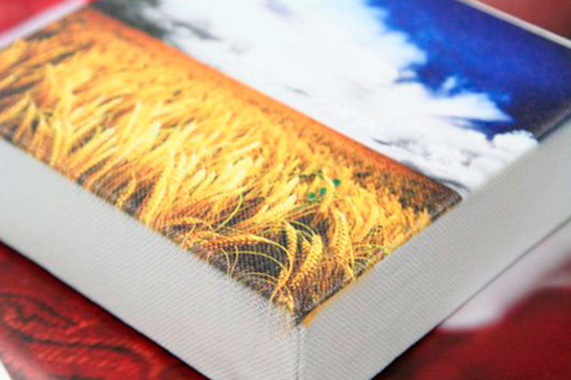 Imagen de un lienzo impreso con tecnología UV de Roland