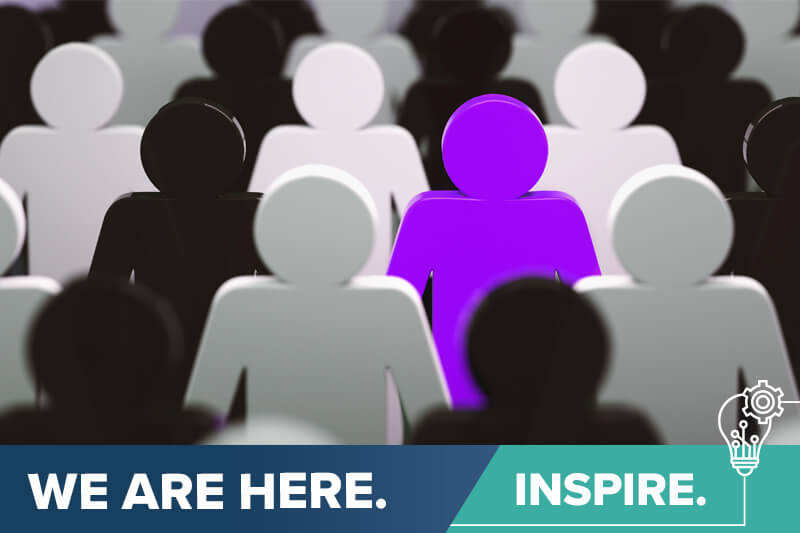 Find your purple cow Roland DG 