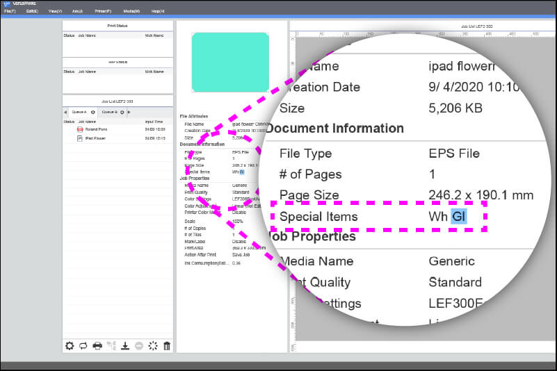 Checking for special items in the VersaWorks interface