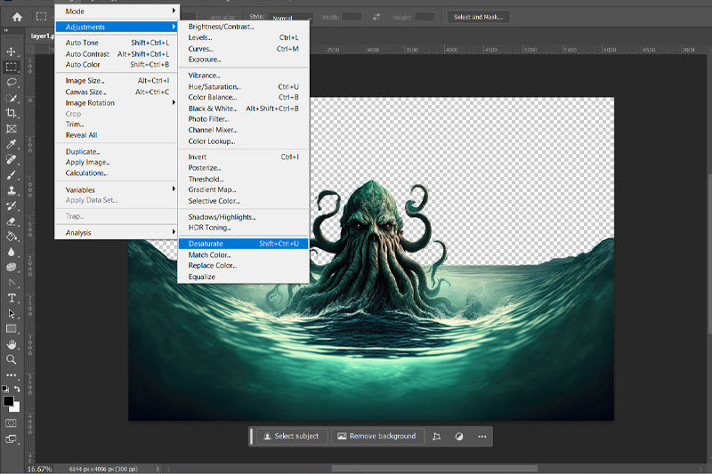 Converting the image to grescale