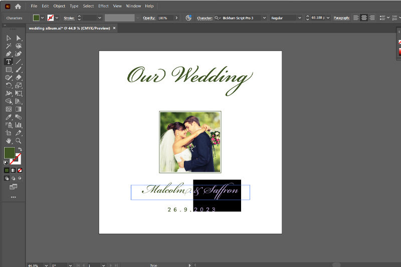 Gestaltung des Einbands in Adobe Illustrator