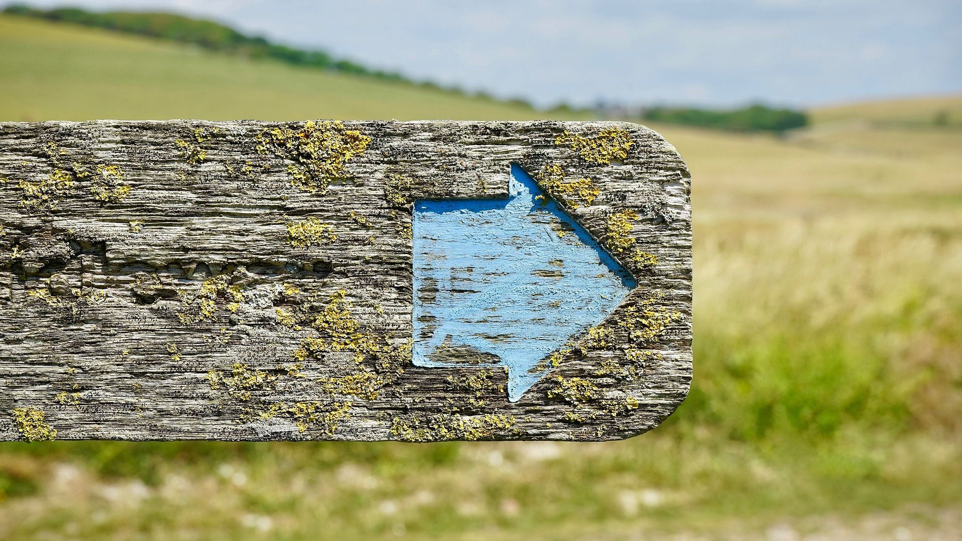 Early signage focused on wayfinding