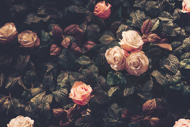 Un grande e complesso motivo di rose non ripetuto