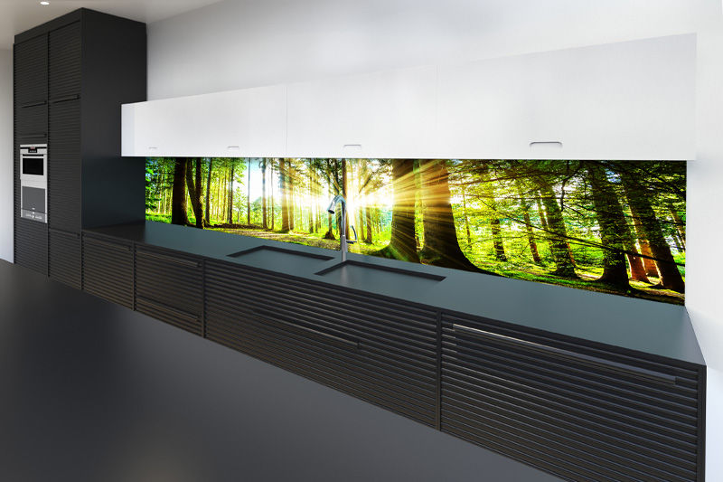 A kitchen with a glass splash guard with a forest on