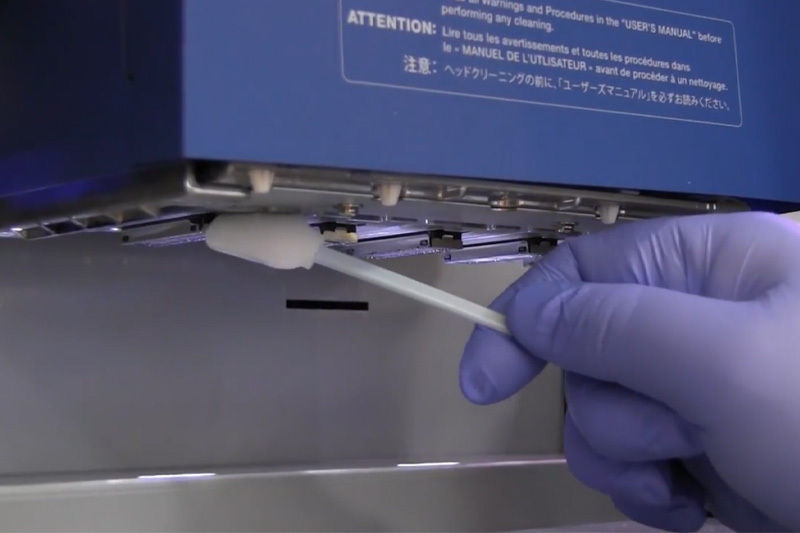 Cleaning print heads with a swab