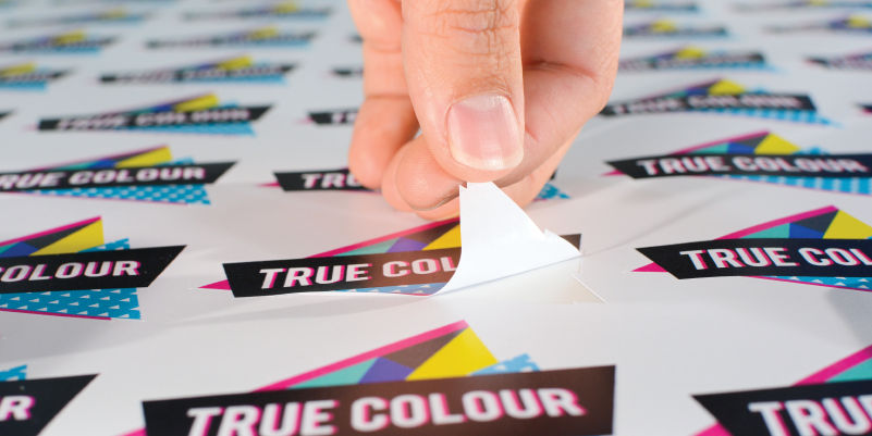 SG Series print & cut