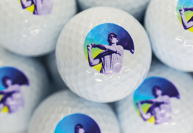 Stickers printed with Roland TrueVIS VG2 Series