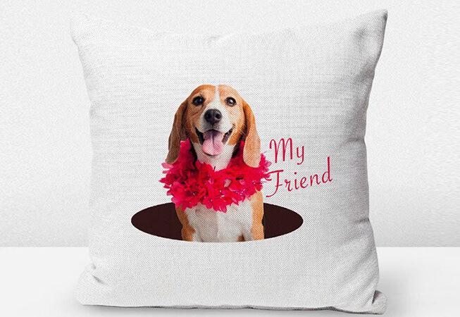 Cushion printed with Roland BT-12