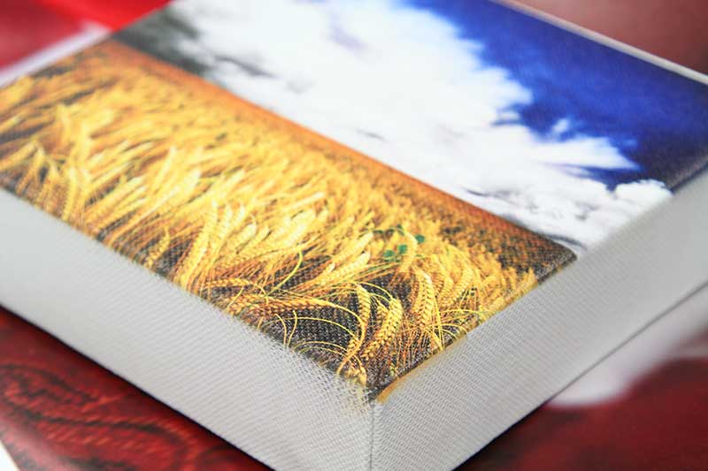 Custom printed canvas print with the LEF