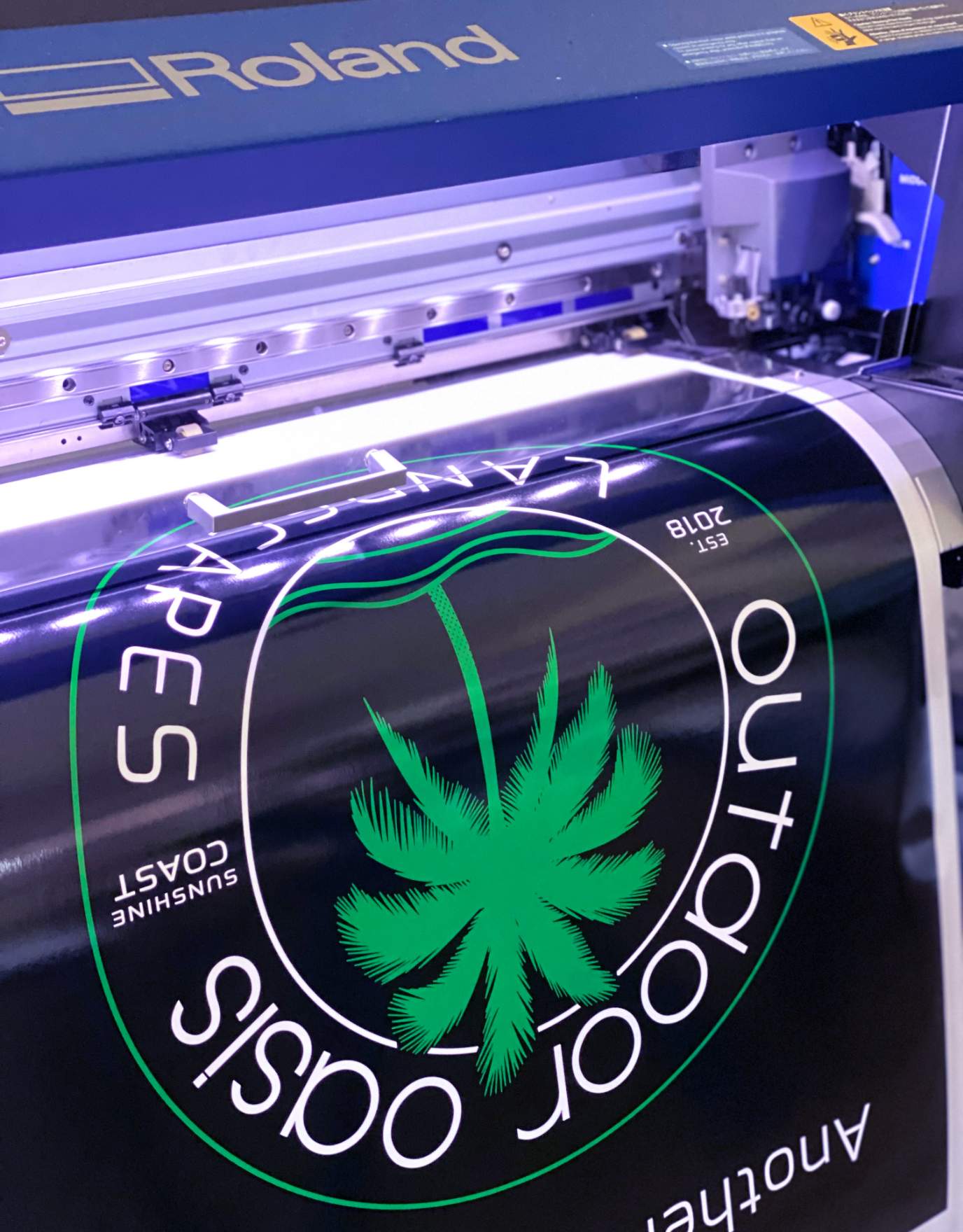 TrueVIS Story con Lush Graphix immagine 03