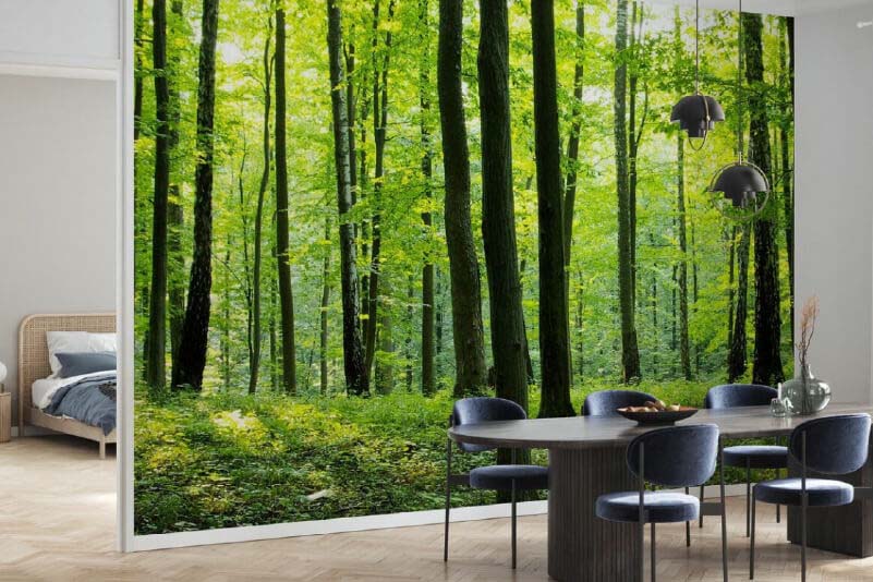 Image of large format printed wall graphic used to divide the room in half